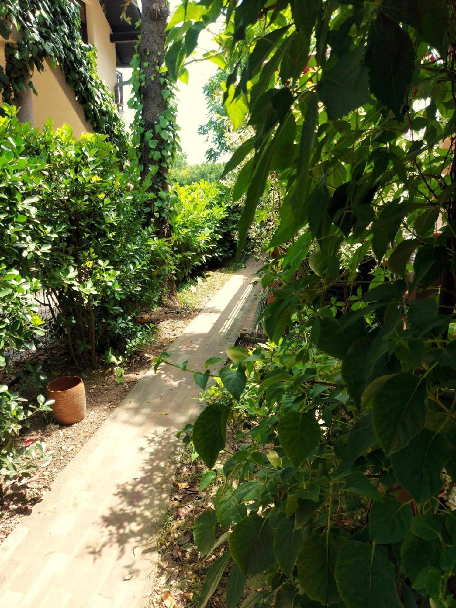 Eden Apartment Sveta Nedjelja  Екстериор снимка